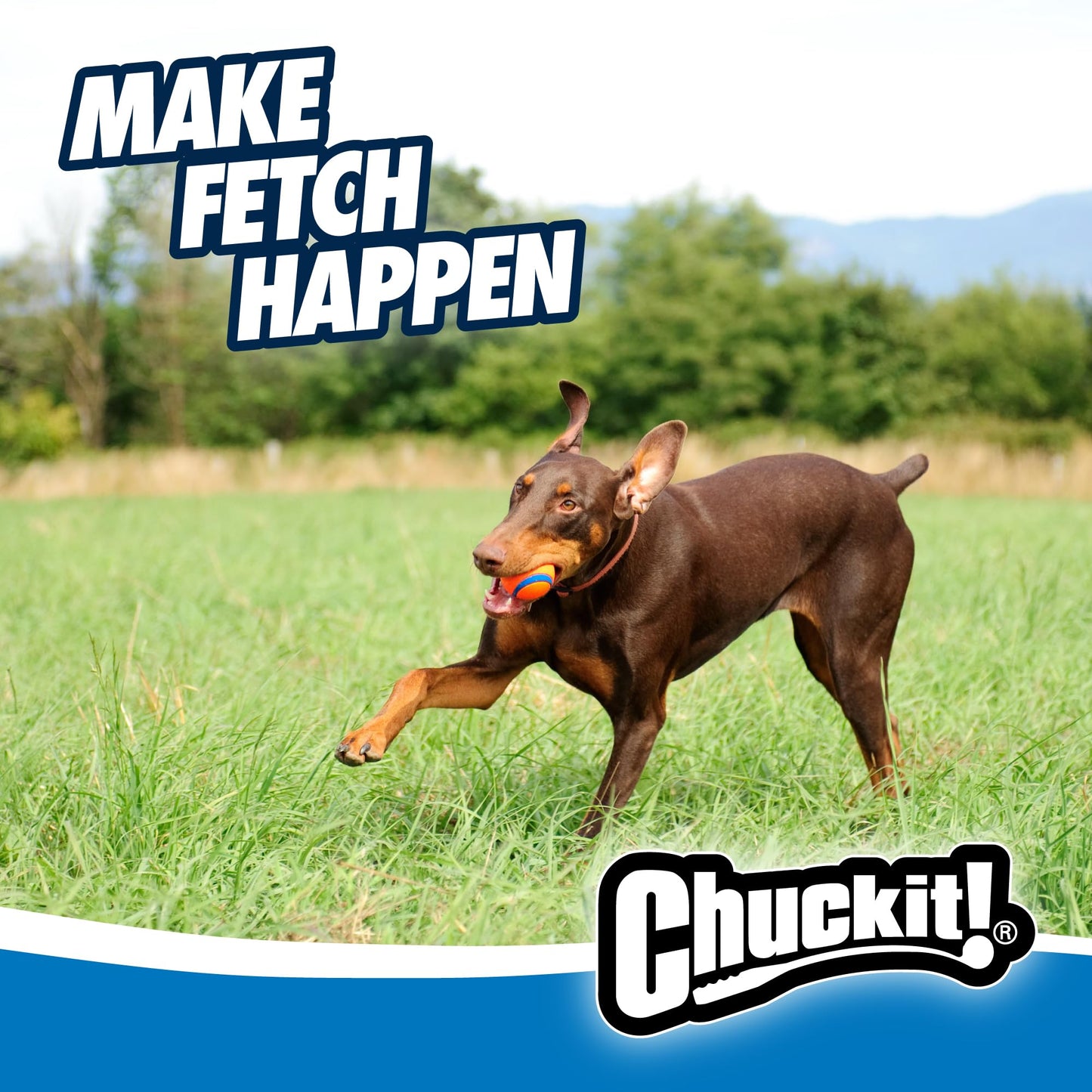 Chuckit! Ultra Ball, Durable High Bounce Rubber Dog Ball, Launcher Compatible, 2 Pack, Medium
