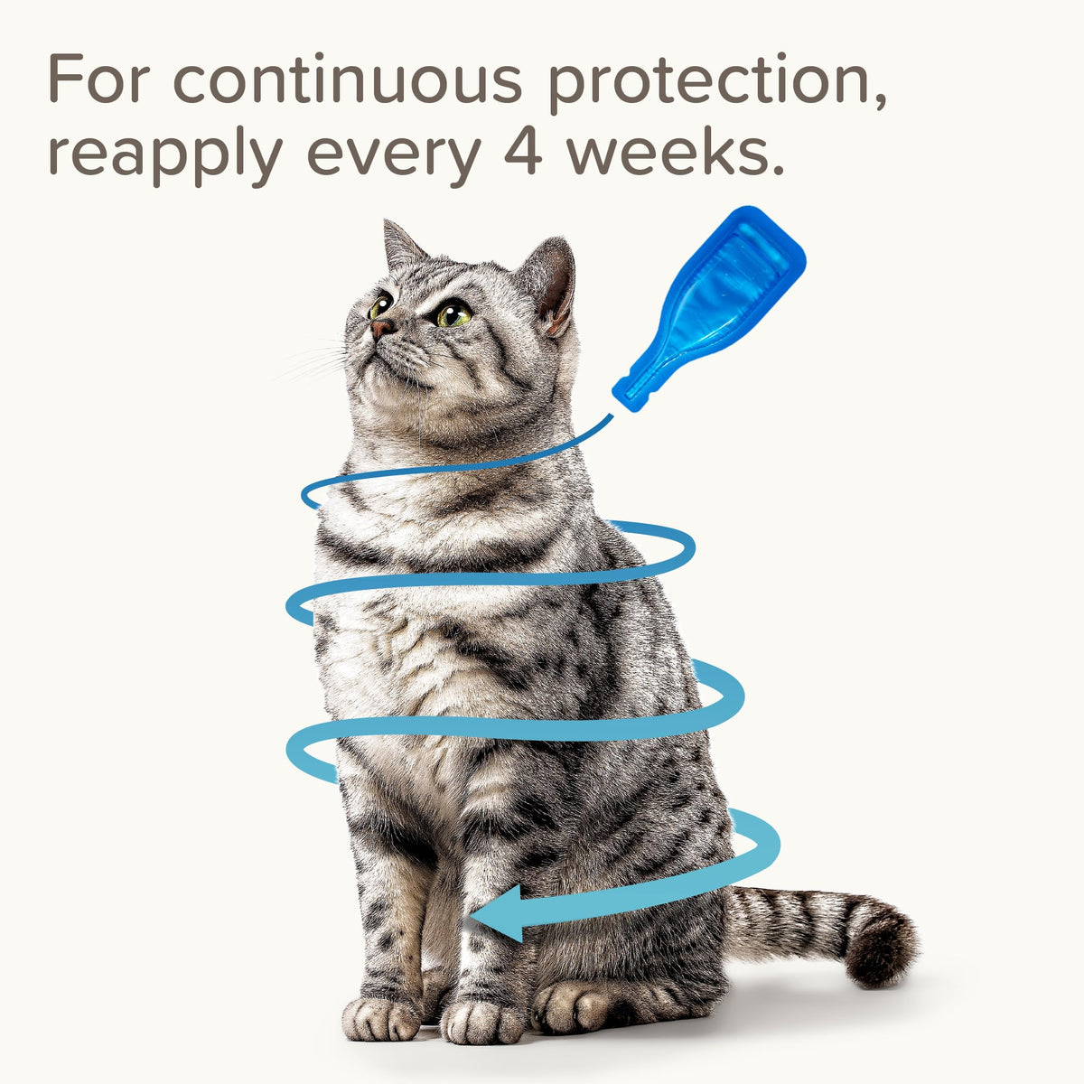 Beaphar - FIPROtec Spot-On Flea & Tick Treatment for Cats - 6 Pipettes - Kills Fleas & Ticks - Veterinary Medicine – Easy to Apply Monthly - For Cats & Kittens from 8 Weeks Old, Weighing Over 1kg