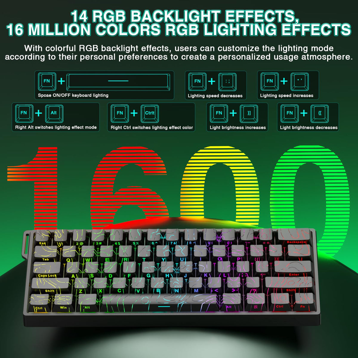 AULA WIN60 HE Mechanical Gaming Keyboard Wired,Hall Effect Magnetic Switches,Adjustable Actuation Rapid Trigger,8K Polling Rate,RGB Backlight,60% Percent Keyboard for Mac/Win (BLACK) (Pack of 2)