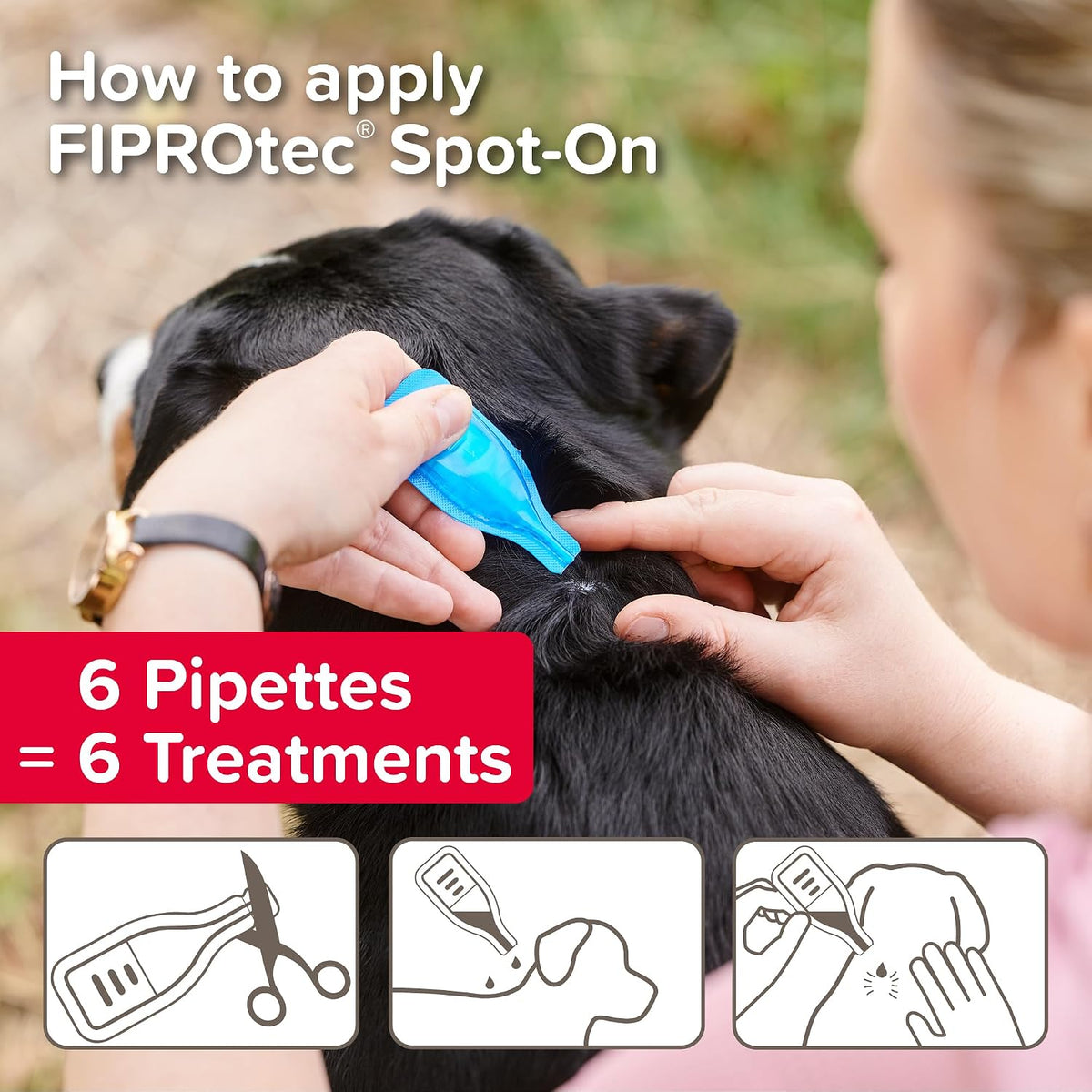 Beaphar - FIPROtec Spot-On Flea & Tick Treatment for Medium Dogs 10-20kg - 6 Pipettes - Kills Fleas & Ticks – Veterinary Medicine - Easy to Apply Monthly - Suitable for Dogs & Puppies from 8 Weeks