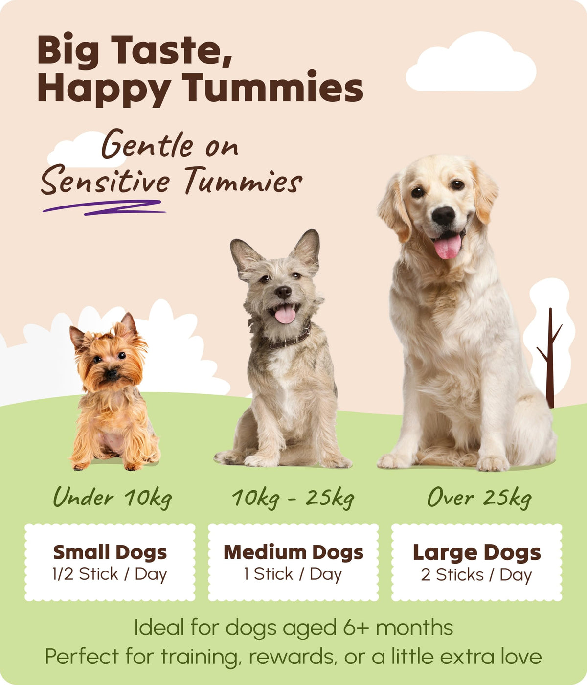 Soopa Carrot & Pumpkin Dog Dental Sticks, Chews to Clean Teeth, 100 g, 1-Pk