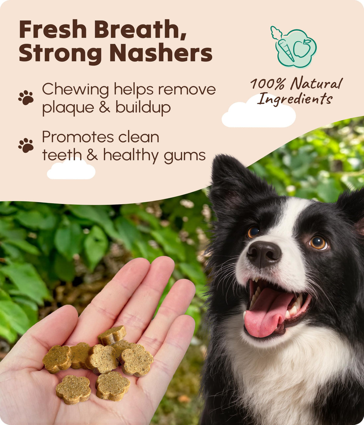 Soopa Strawberry Dog-Quiri Healthy Bites, Dog Training Treats, 50 g, 1-Pack