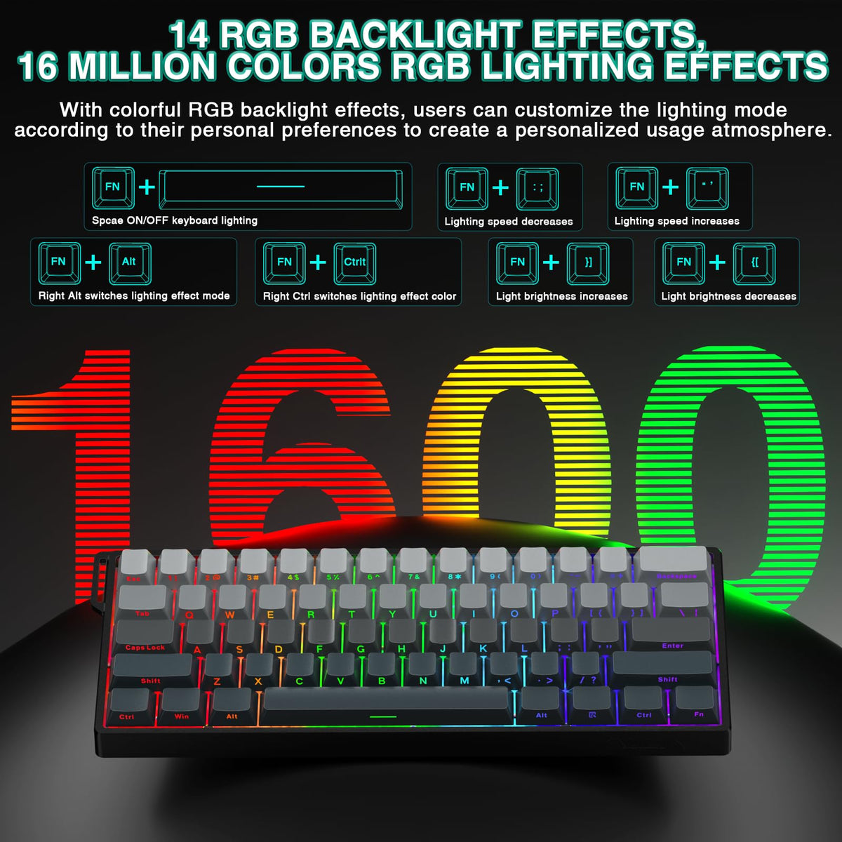 AULA WIN60 HE Mechanical Gaming Keyboard Wired,Hall Effect Magnetic Switches,Adjustable Actuation Rapid Trigger,8K Polling Rate,RGB Backlight,60% Percent Keyboard for Mac/Win (BLACK) (Pack of 2)