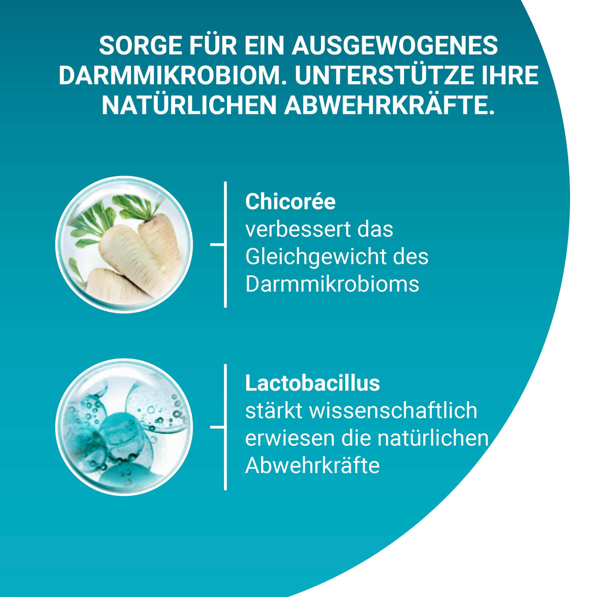 PURINA ONE BIFENSIS Dry Food for Adult Cats, Rich in Chicken, 1 Pack (1 x 5.7 kg)