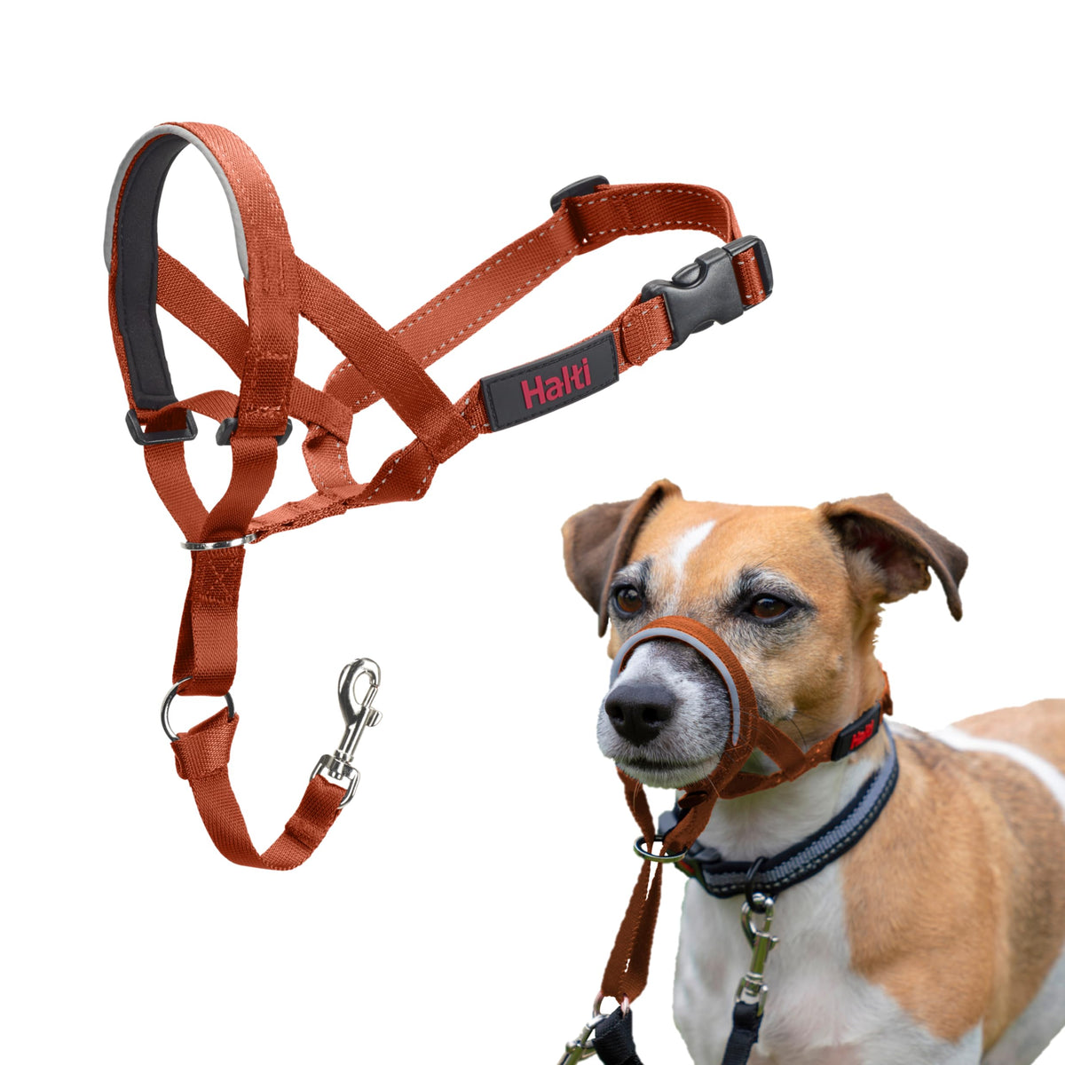 Halti Headcollar for Dogs | Size 3, Black