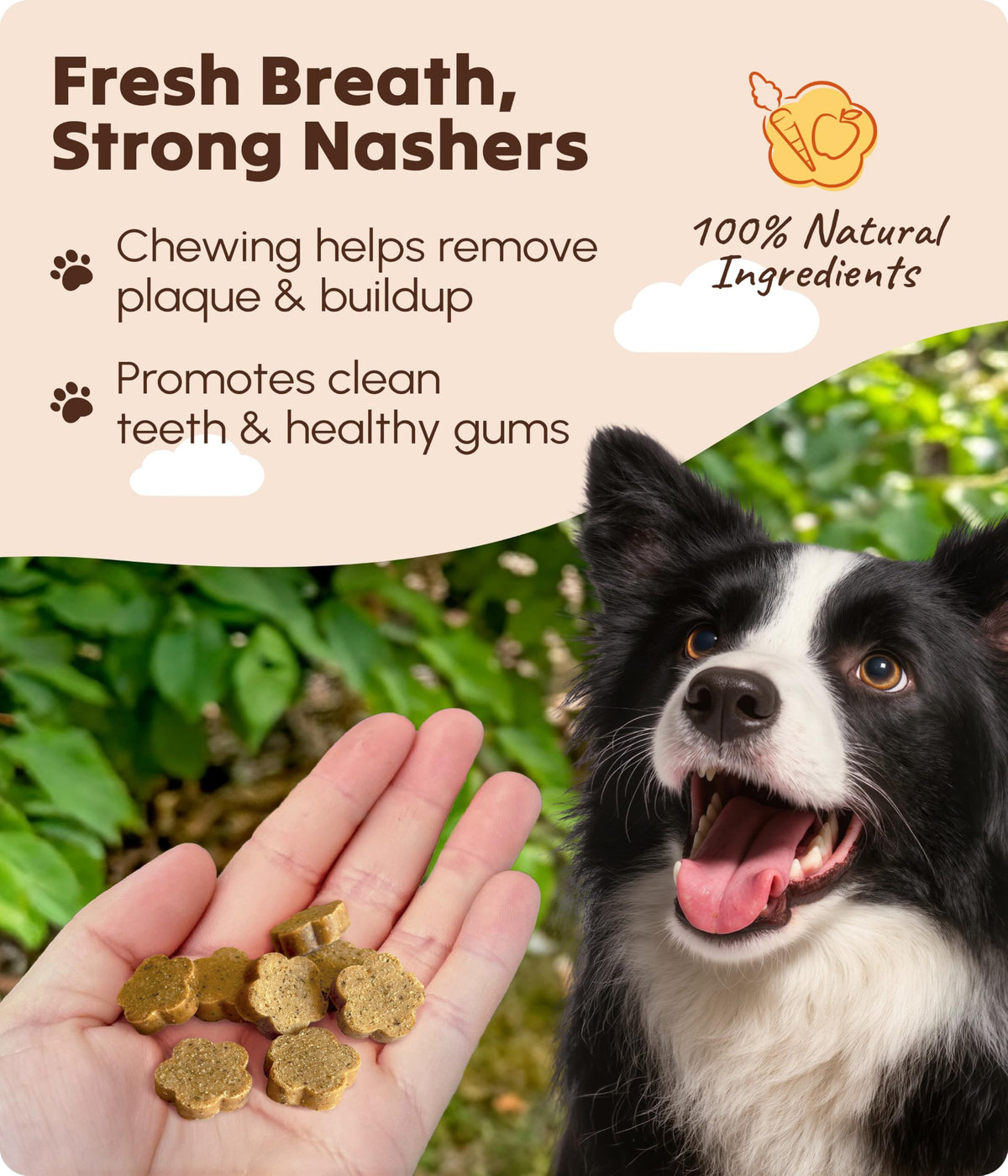 Soopa Strawberry Dog-Quiri Healthy Bites, Dog Training Treats, 50 g, 1-Pack