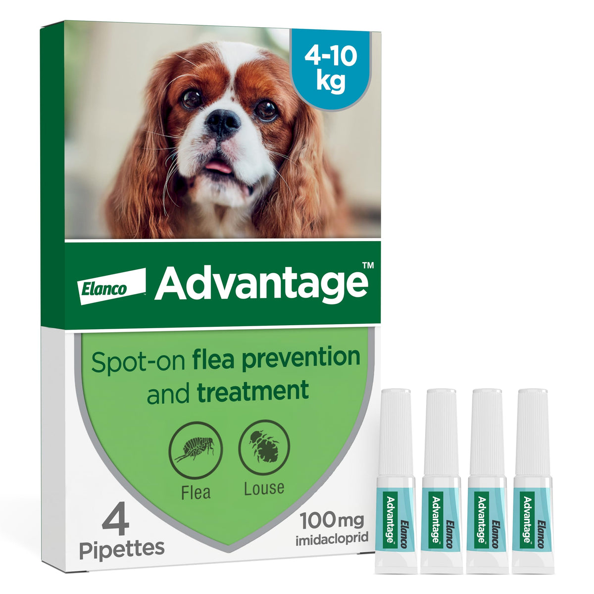 Advantage Spot On Flea Treatment For Large Cats and Rabbits Over 4kg (4 pipettes, 80mg), Kills Fleas Within 24 Hours, Prevents Further Infestation For Up To Four Weeks in Cats
