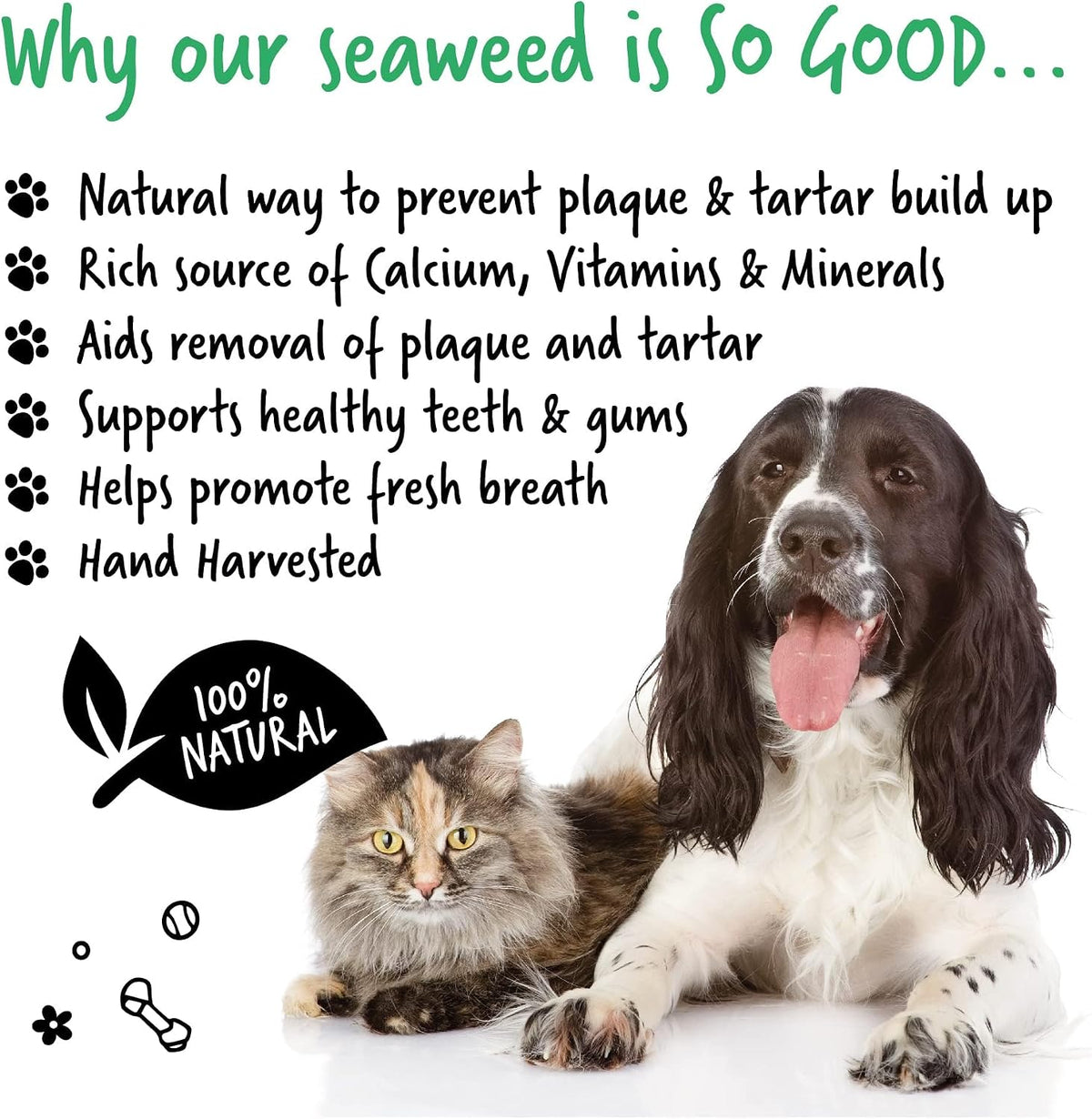 BUGALUGS Plaque Off Remover for Dog 70g Teeth & Bad Breath 100% Natural | Plaque Off Dogs No Need for Dog Toothbrush or Dog Toothpaste | Remove Dog Bad Breath & Plaque Remover for Dogs & Cats