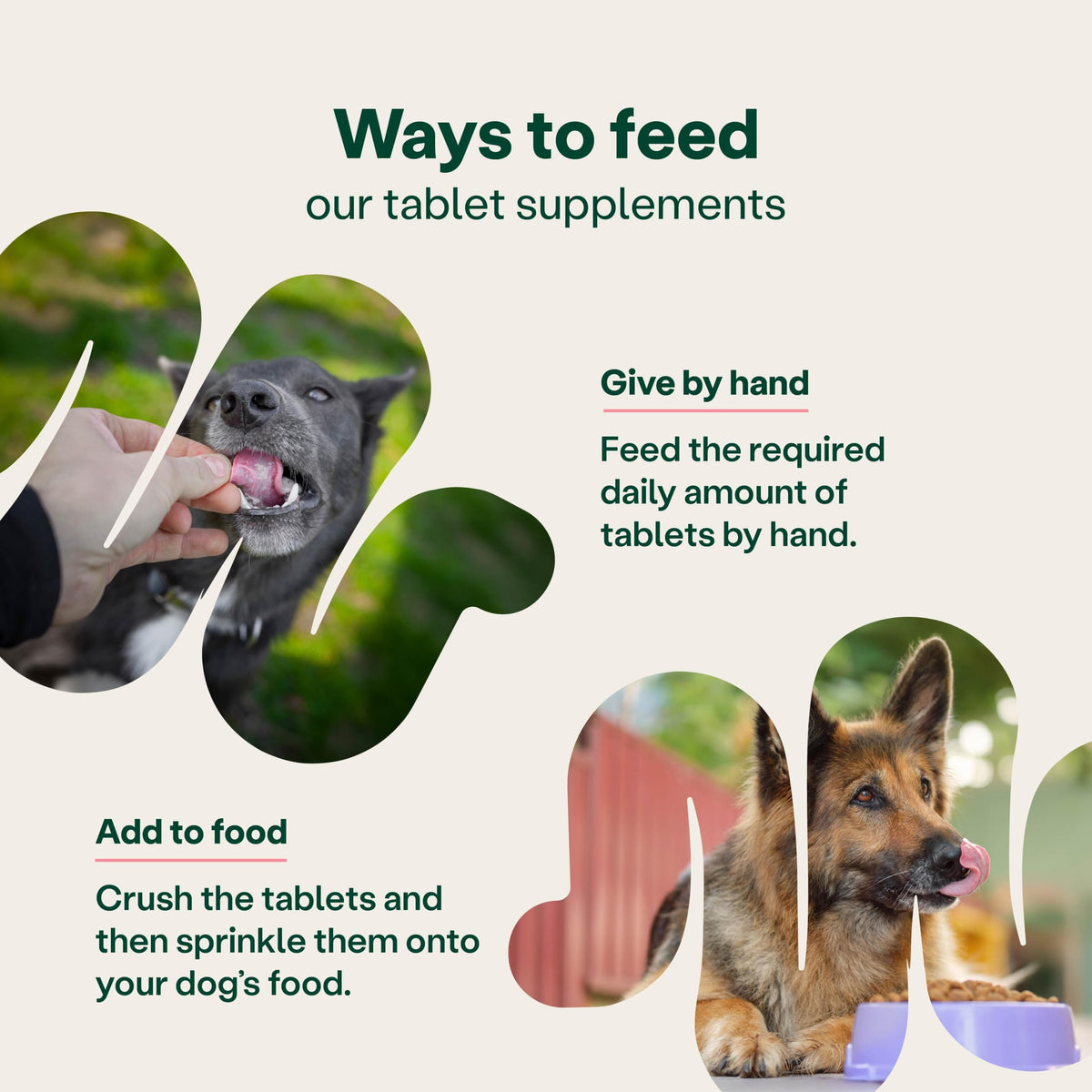 YuMOVE Digestive Care, Dog Pre and Probiotics Supplement for Gut Health, Digestive Support for All Ages and Breeds, 120 Tablets - Eco Friendly and Letter Box Ready Packaging