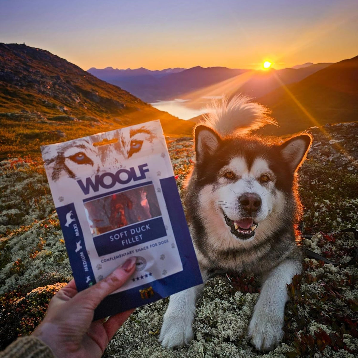 WOOLF Soft Duck Fillet Dog Treats - Complementary Snacks for Dogs | 100g
