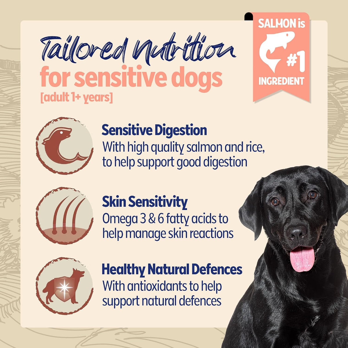 BETA Adult Sensitive Salmon Dry Dog Food 14kg