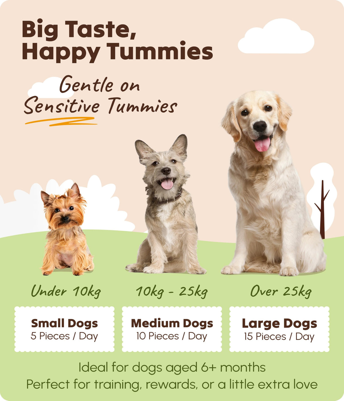 Soopa Strawberry Dog-Quiri Healthy Bites, Dog Training Treats, 50 g, 1-Pack