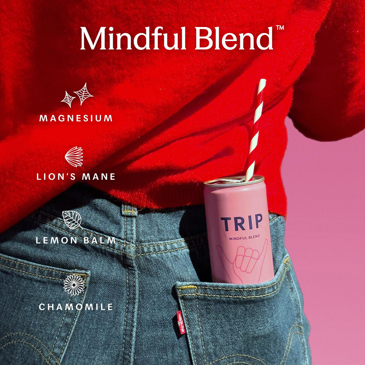 TRIP Calm Magnesium Drink, Sparkling Mocktail, Ultimate Sampler Mix, 12pack