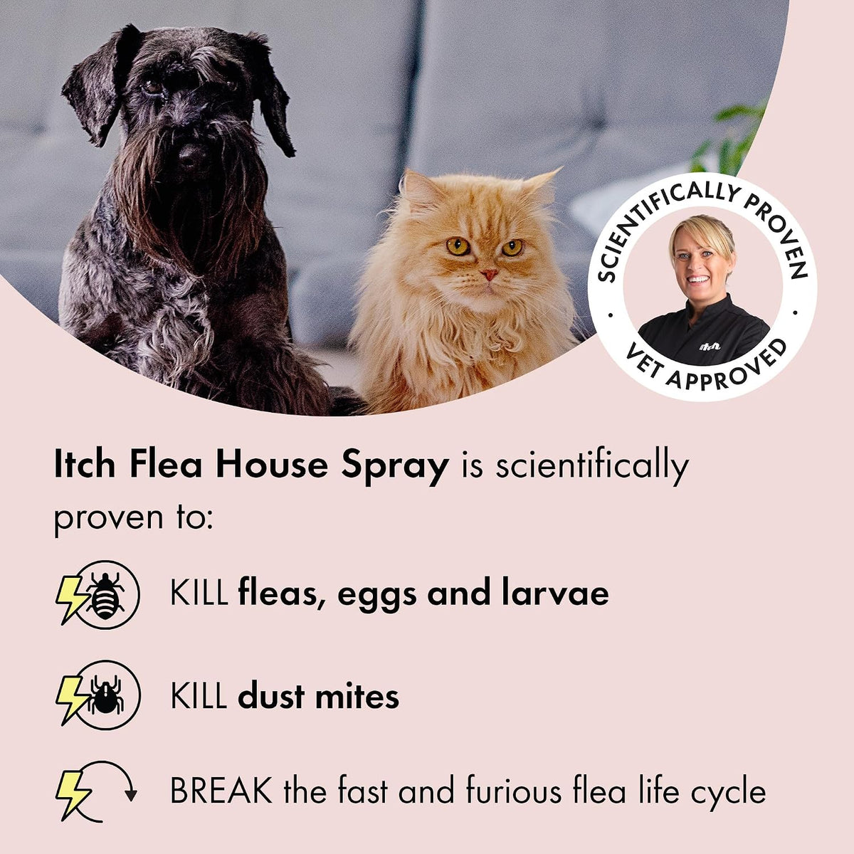 Itch - Flea & Tick Treatment for Cats & Household Flea Spray - Kills Fleas, Lice, Ticks, Eggs and Larvae - With Fipronil and S-Methoprene - Odourless 500ml Spray & Pack of 3 Pipettes