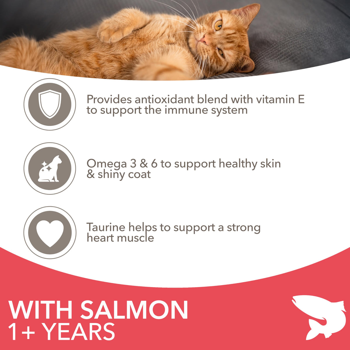 IAMS Adult Complete Dry Cat Food Chicken 3kg - Supports Strong Immune System