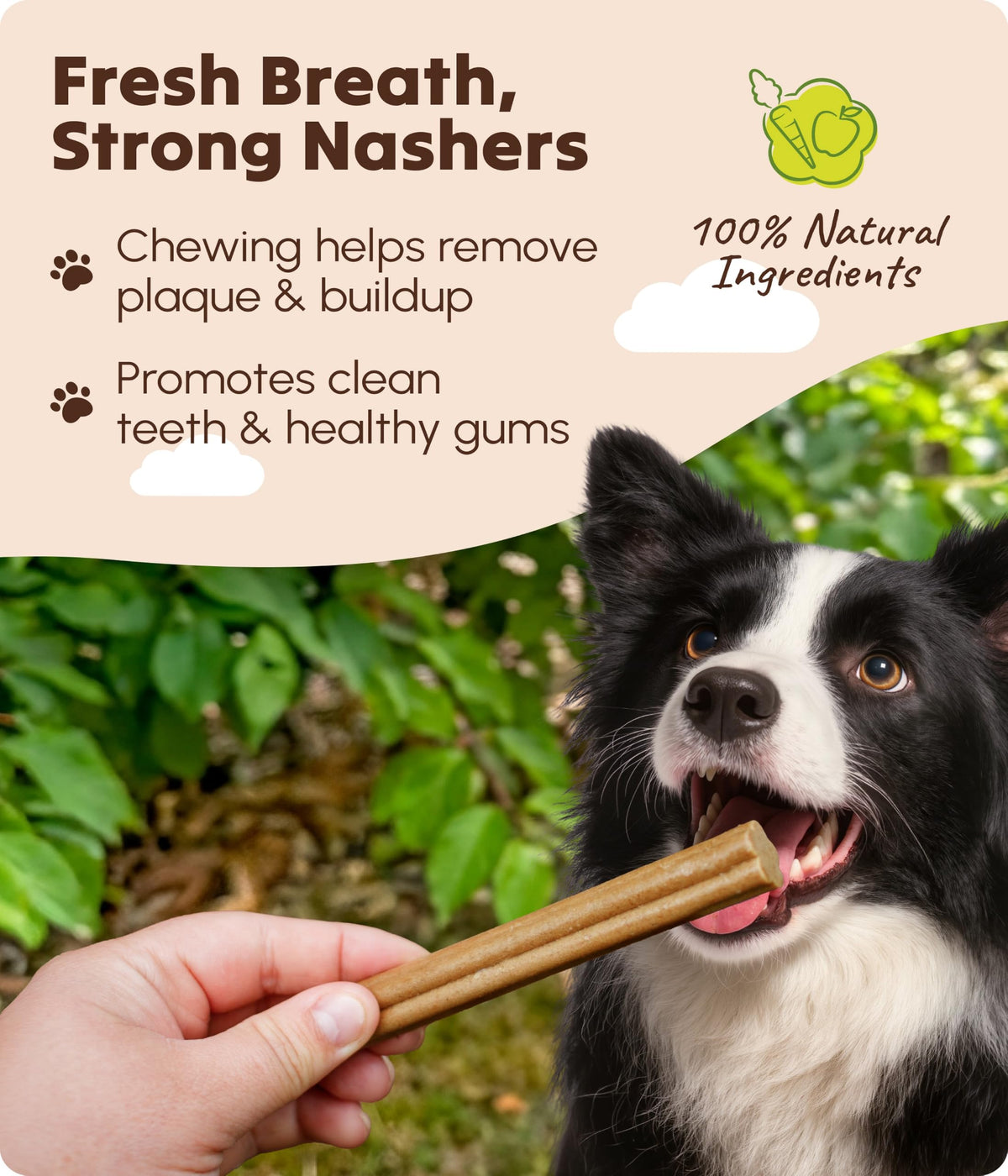 Soopa Carrot & Pumpkin Dog Dental Sticks, Chews to Clean Teeth, 100 g, 1-Pk