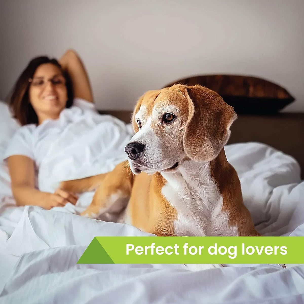 Activity Superstore Dog Friendly Hotel Stay Gift Experience Voucher