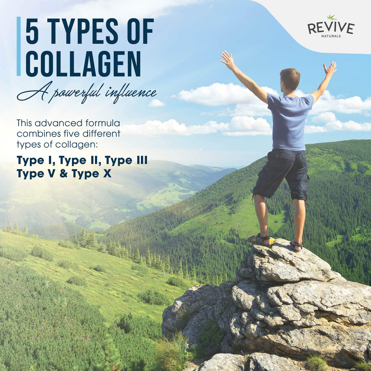Multi Collagen Protein Powder 400g - Types I, II, III, V & X - Hydrolyzed Grass Fed Bovine, Wild Caught Fish, & Free-Range Chicken & Eggshell Collagen by Revive Naturals