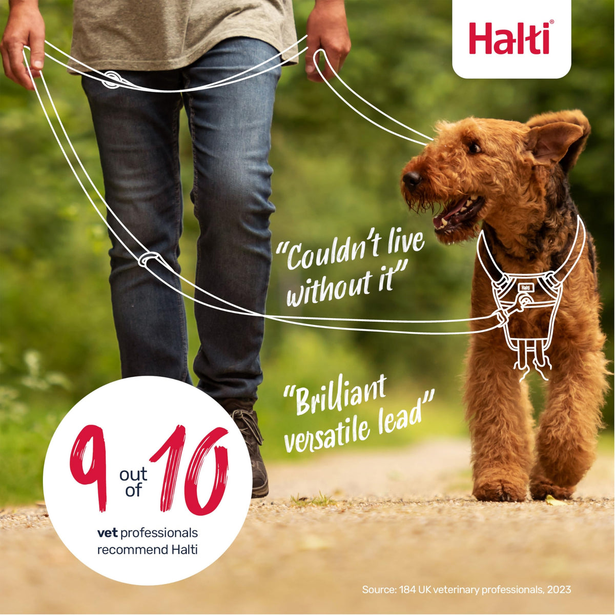 Halti Training Lead for Dogs | Size Small, Black, 2m