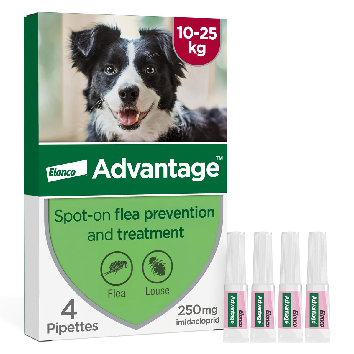 Advantage Spot On Flea Treatment For Large Cats and Rabbits Over 4kg (4 pipettes, 80mg), Kills Fleas Within 24 Hours, Prevents Further Infestation For Up To Four Weeks in Cats