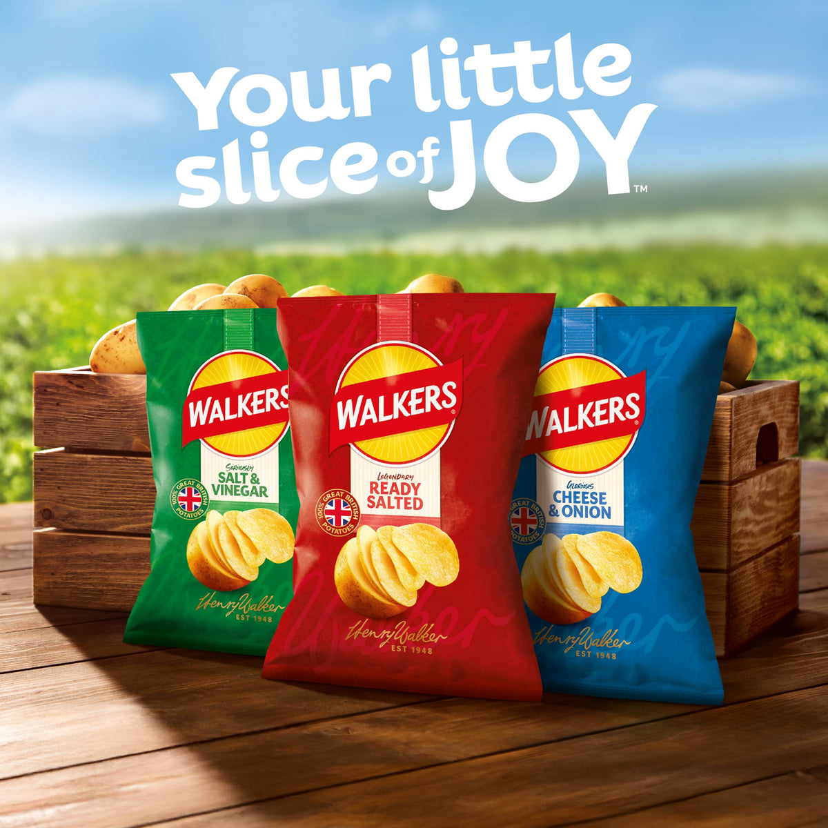 Walkers Baked Snacks Sea Salt 6 x 22g