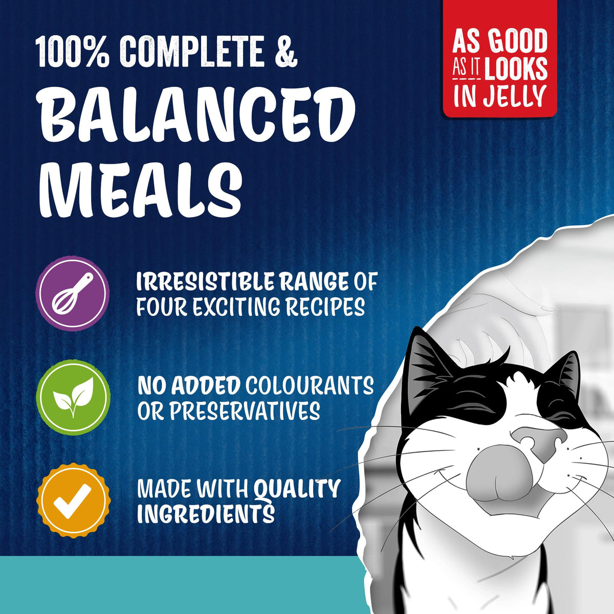 FELIX Doubly Delicious Countryside Selection in Jelly Wet Cat Food 40x85g