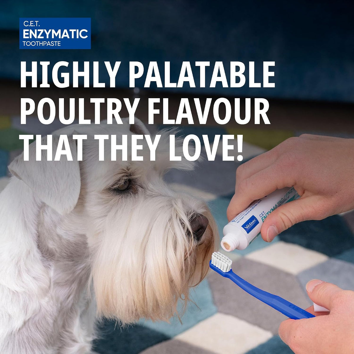 Virbac CET Enzymatic Toothpaste for Dogs - Control Bacteria & Reduce Plaque | Poultry Flavour | 70G