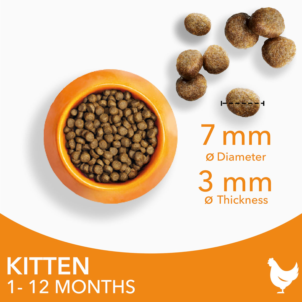 IAMS for Vitality Dry Kitten Food with Fresh Chicken, 3 kg, Packaging may vary