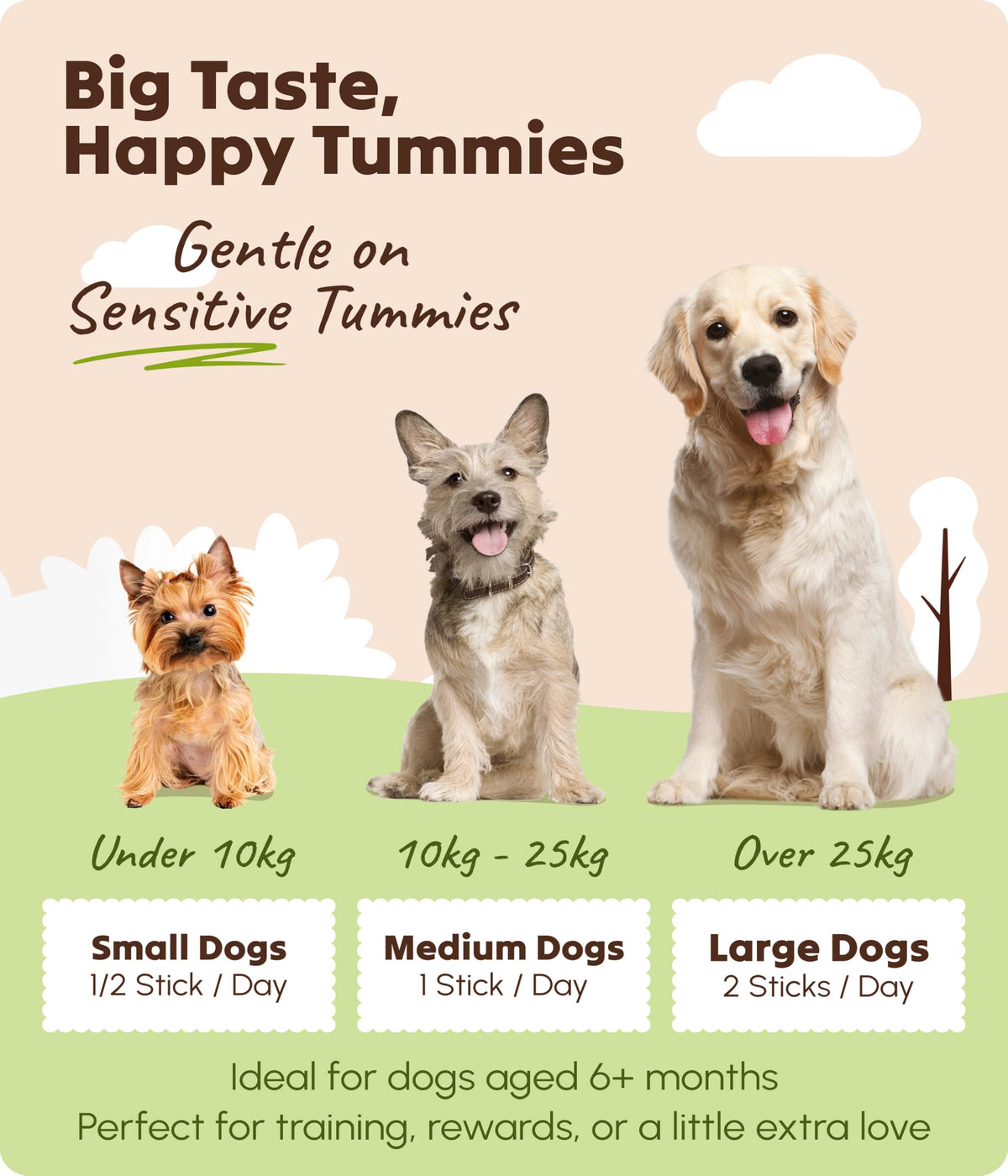 Soopa Carrot & Pumpkin Dog Dental Sticks, Chews to Clean Teeth, 100 g, 1-Pk