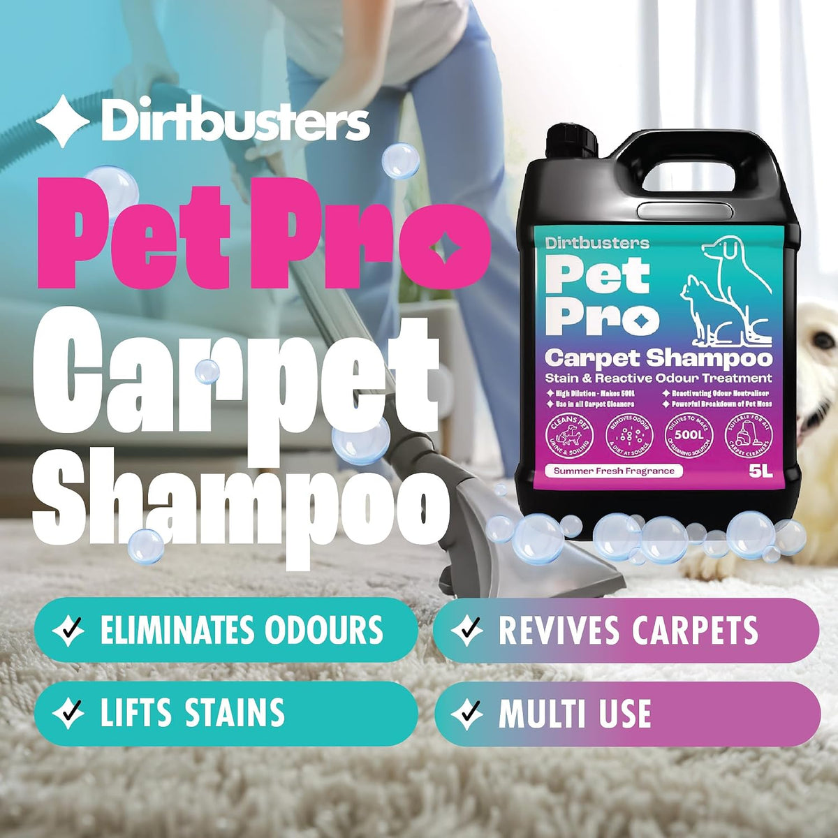 Dirtbusters Pet Pro Carpet Cleaner Shampoo Solution, Stain Remover (5L)