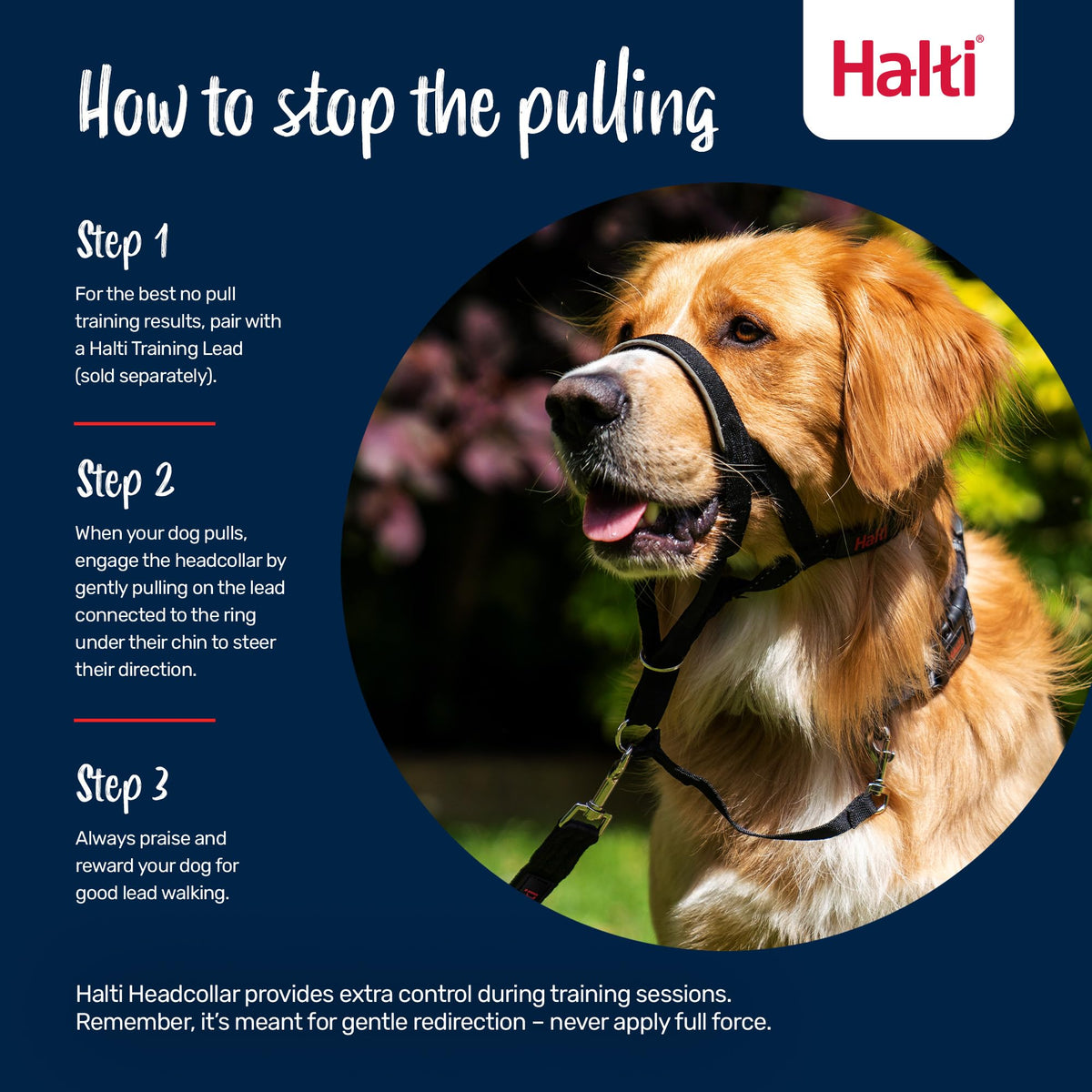 Halti Headcollar for Dogs | Size 3, Black