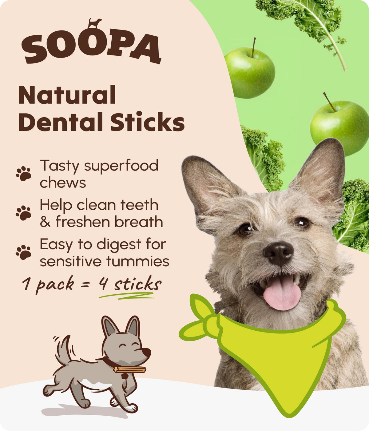 Soopa Carrot & Pumpkin Dog Dental Sticks, Chews to Clean Teeth, 100 g, 1-Pk