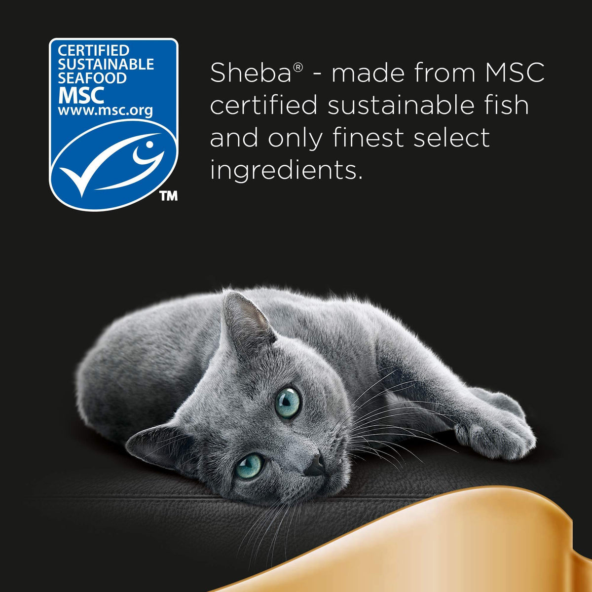 SHEBA Sauce Lover Cat Food Trays Mixed Collection 32 x 85 g