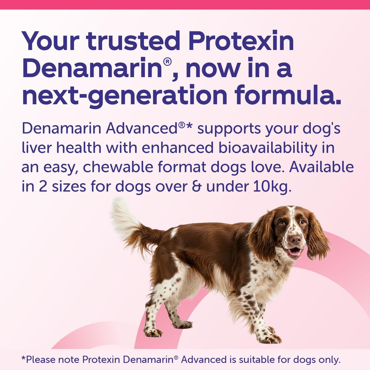 Protexin Denamarin Medium Dog 30 Tablets