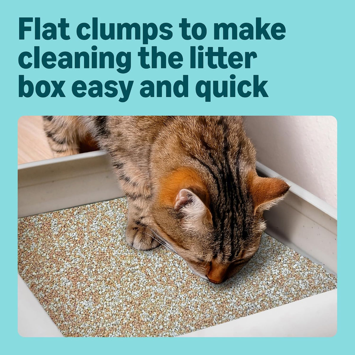 by Amazon Clumping Fine Unscented Cat Litter 10L (Pack of 1)
