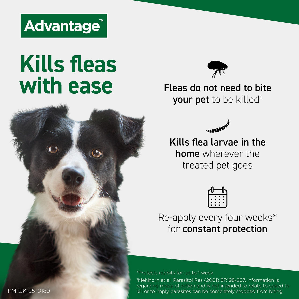 Advantage Spot On Flea Treatment For Large Cats and Rabbits Over 4kg (1 pipette, 80mg), Kills Fleas Within 24 Hours, Prevents Further Infestation For Up To Four Weeks in Cats