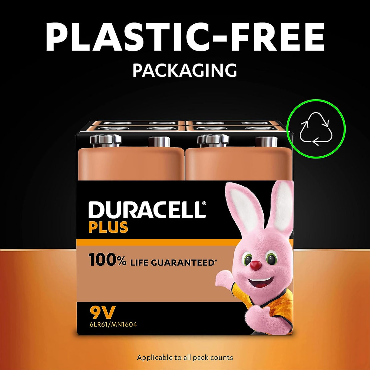 DURACELL Plus 9V Alkaline Batteries (2 Pack) 6LR61