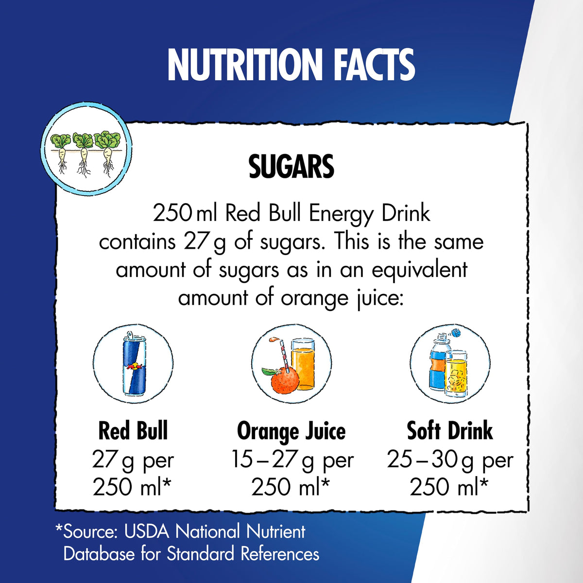 Red Bull Energy Drink Summer Edition Curuba-Elderflower, 250ml x 12