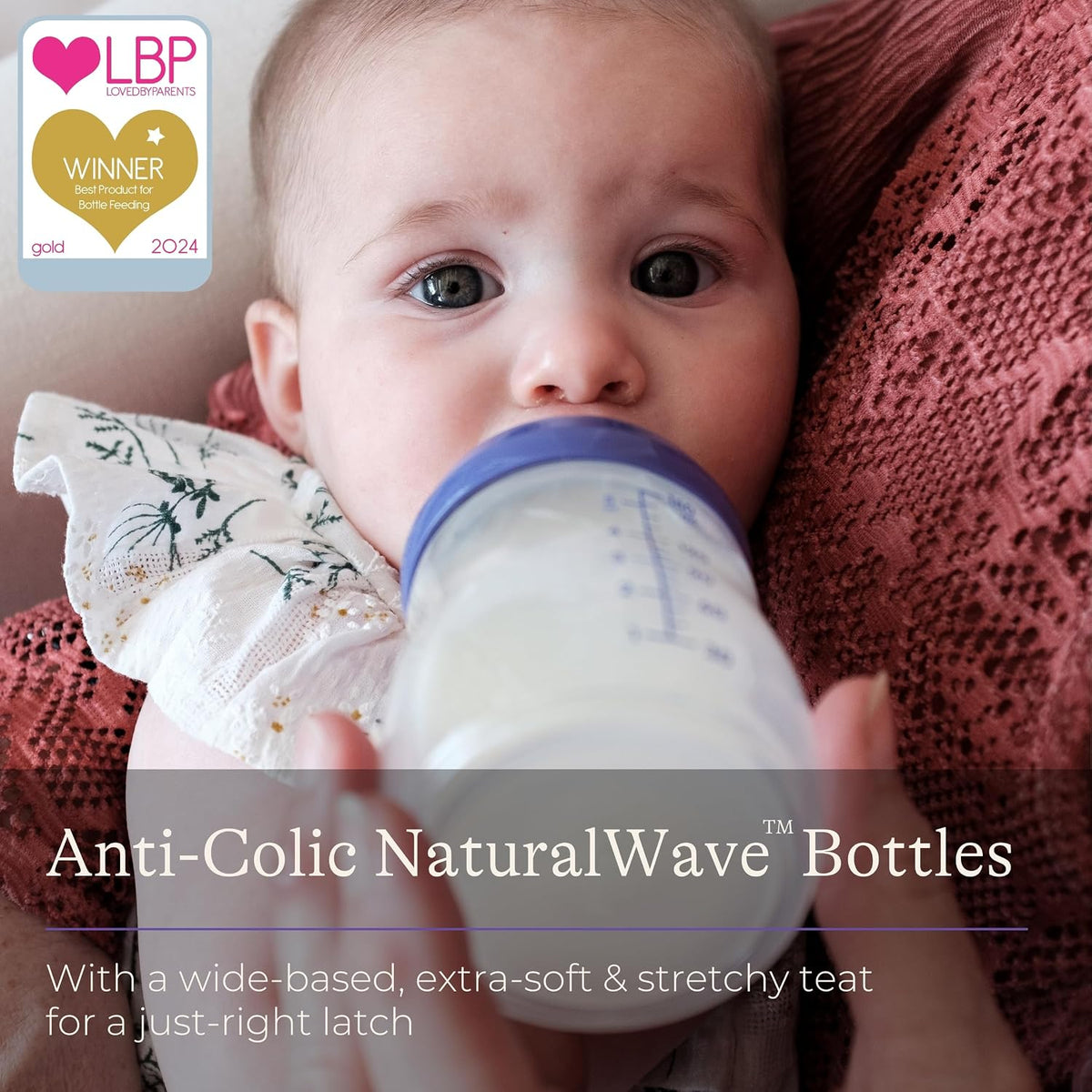 Lansinoh Anti Colic Baby Bottles 160 ml - 2 Pack - Slow Flow Teats