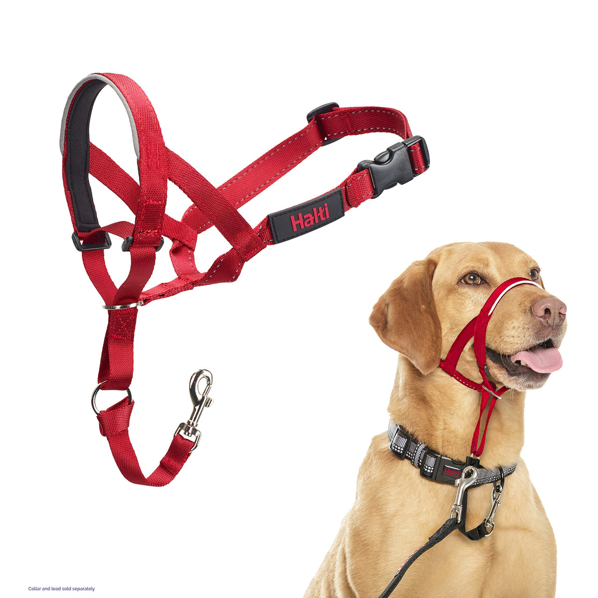 Halti Headcollar for Dogs | Size 3, Black