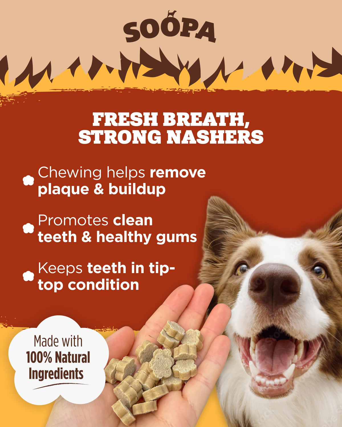 Soopa Strawberry Dog-Quiri Healthy Bites, Dog Training Treats, 50 g, 1-Pack