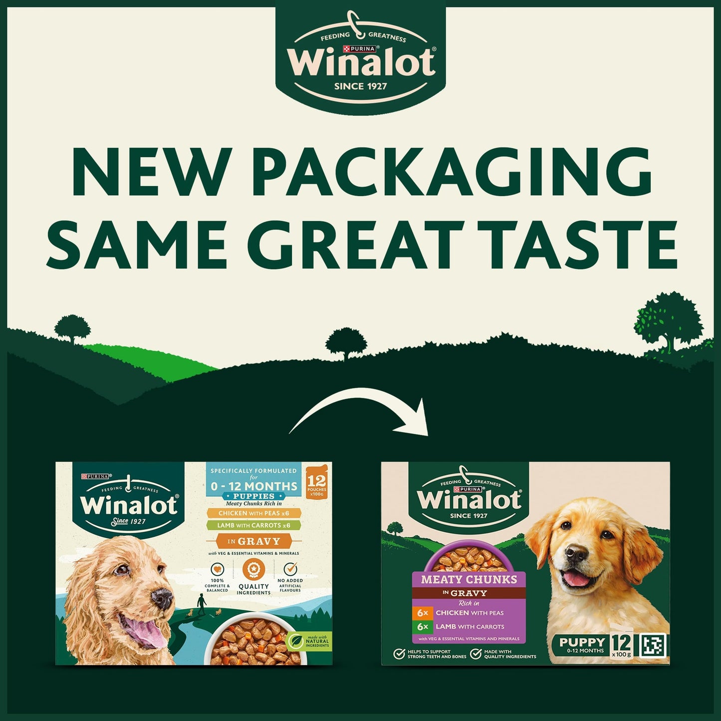WINALOT Sunday Dinner Mixed in Gravy Wet Dog Food Pouches 40x100g