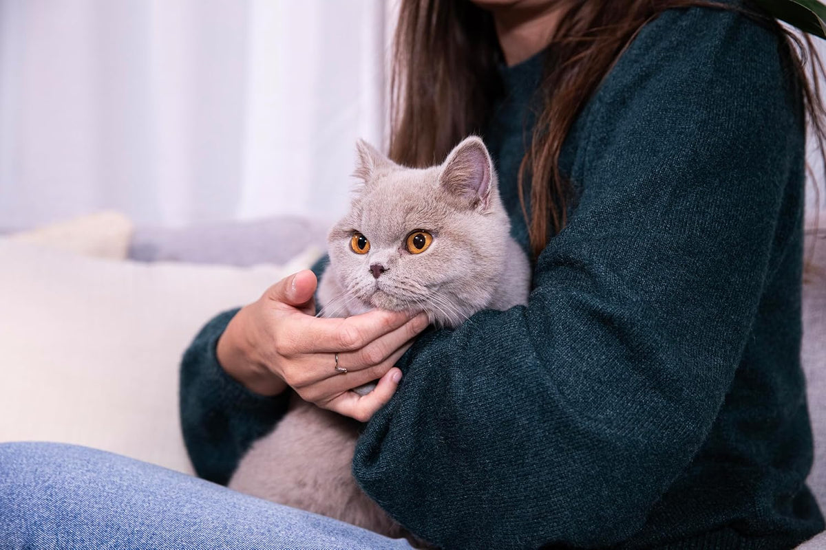 Sanicat - Classic Fragrance-Free cat litter 10L capacity