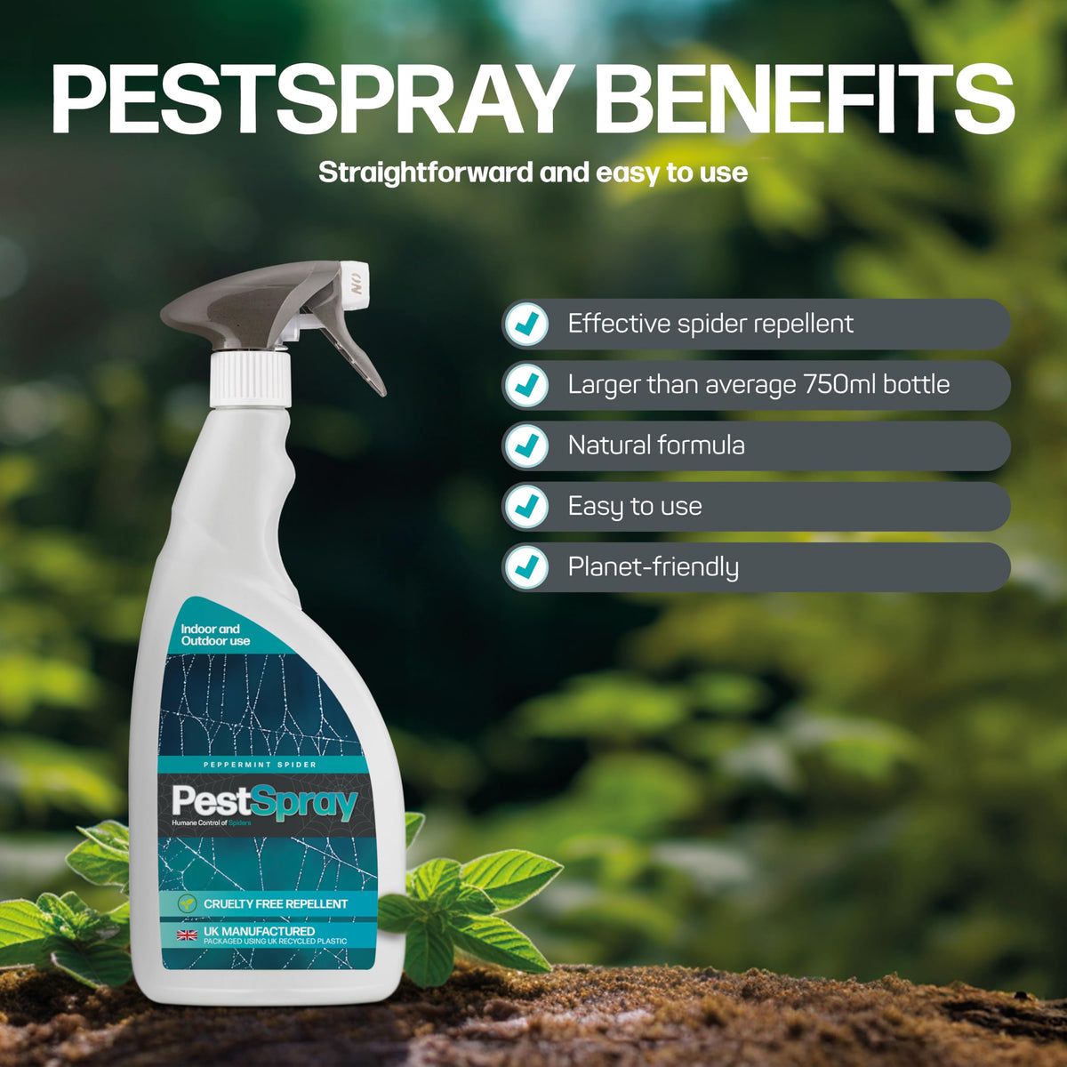 Peppermint Spider PestSpray, Peppermint Oil Spray, Spider Repellent, 250ml Bottle, Suitable Indoor & Outdoor Use