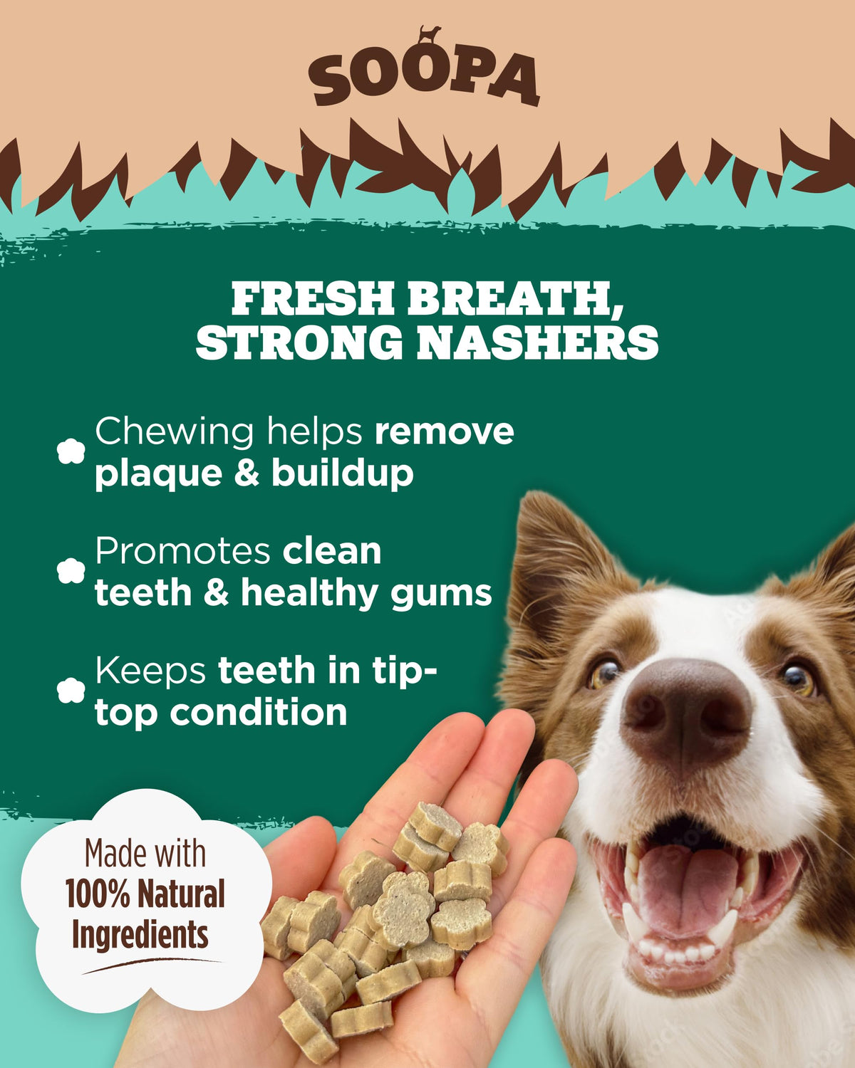 Soopa Strawberry Dog-Quiri Healthy Bites, Dog Training Treats, 50 g, 1-Pack