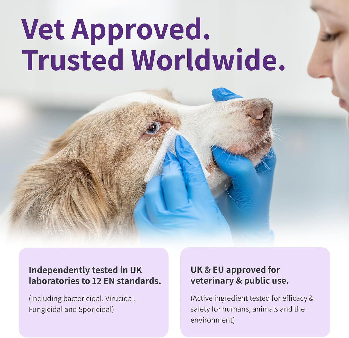 RenaSan Antiseptic Eye Drops (60 ml) – Eye Disinfection, Alcohol-Free, Non-Irritating and Natural Eye Cleaning Solution for Dogs, Cats, Reptiles, Poultry, Avian & Livestock (PACKAGING MAY VARY)