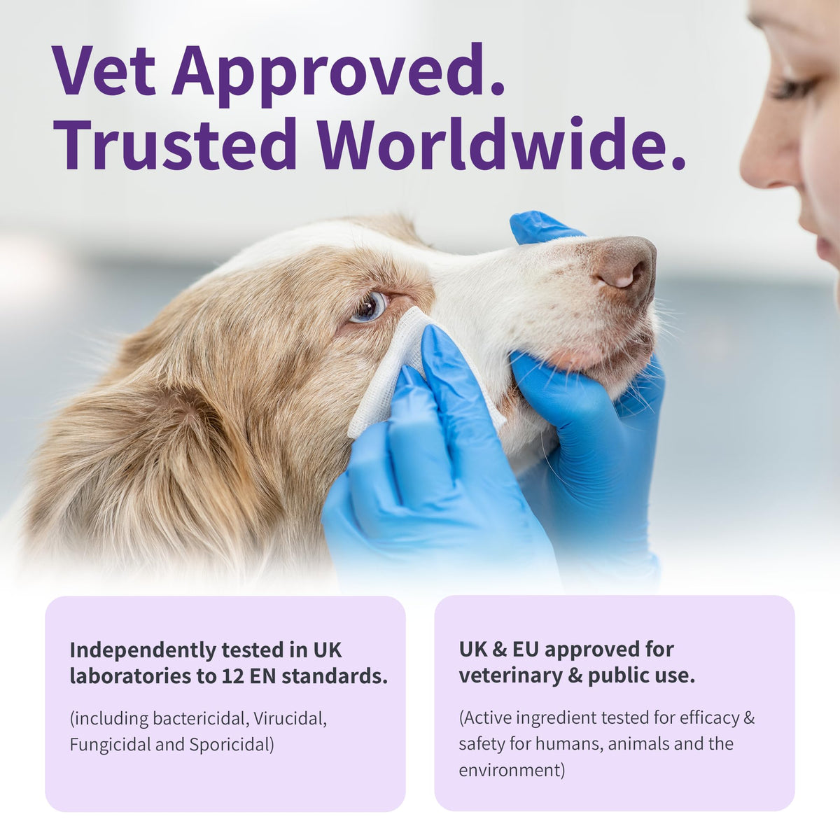 RenaSan Antiseptic Eye Drops (60 ml) – Eye Disinfection, Alcohol-Free, Non-Irritating and Natural Eye Cleaning Solution for Dogs, Cats, Reptiles, Poultry, Avian & Livestock (PACKAGING MAY VARY)