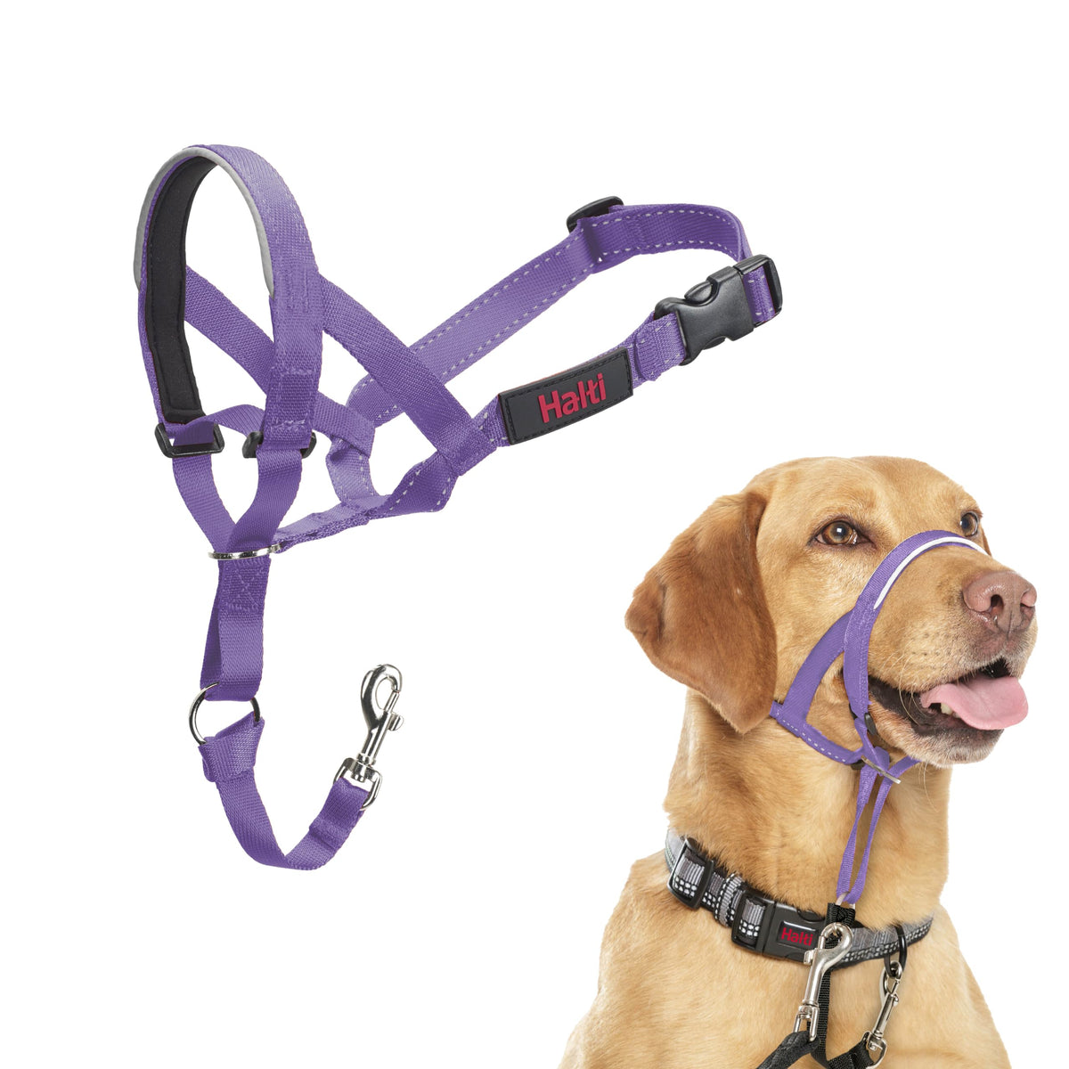 Halti Headcollar for Dogs | Size 3, Black