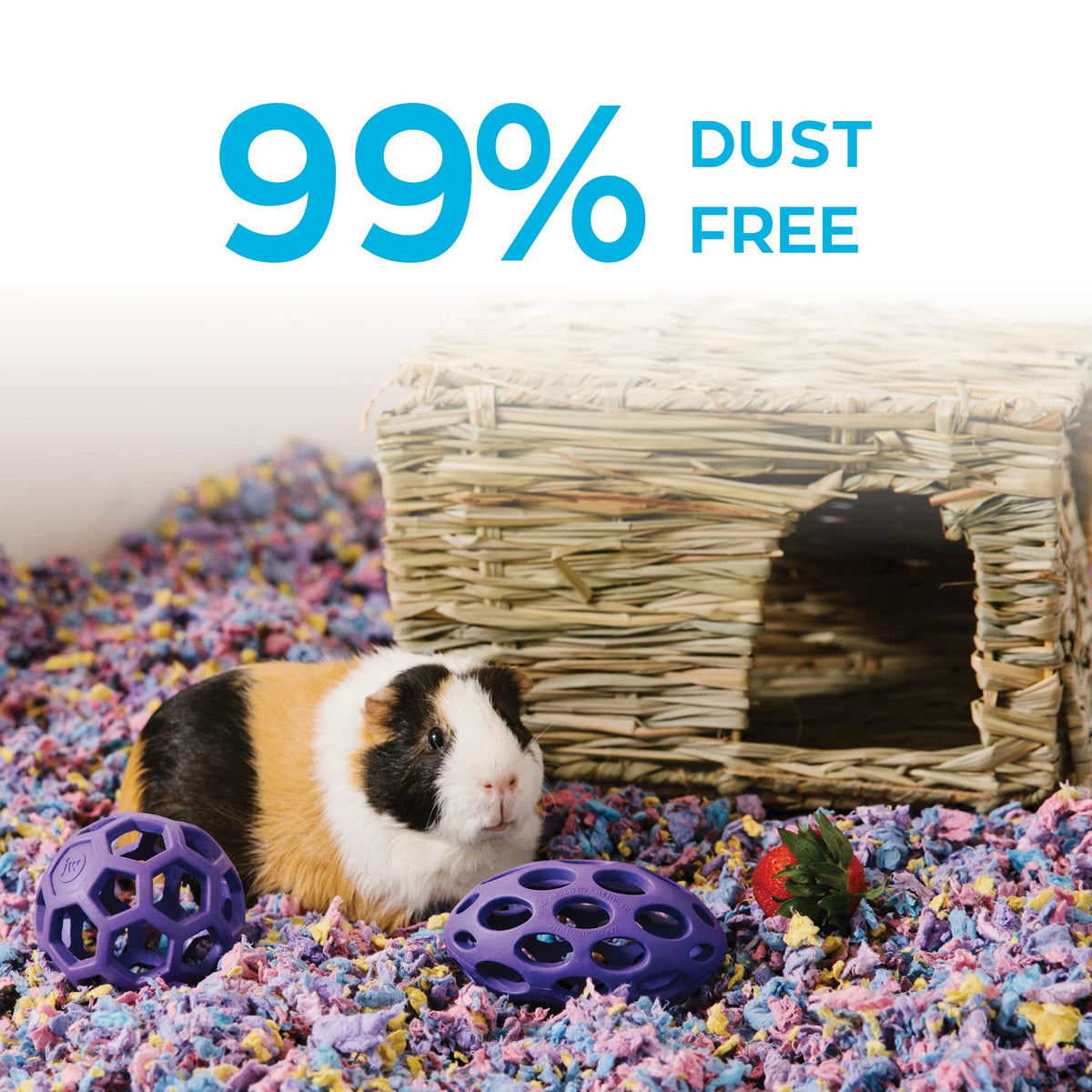 Carefresh 99% Dust-Free White Natural Paper Small Pet Bedding with Odor Control, 10L, White