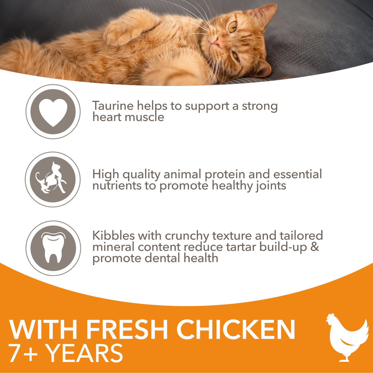 IAMS Senior Dry Cat Food Chicken 3kg